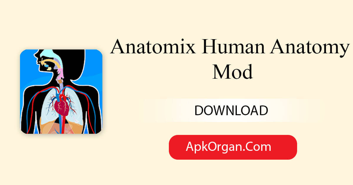 Anatomix Human Anatomy Mod