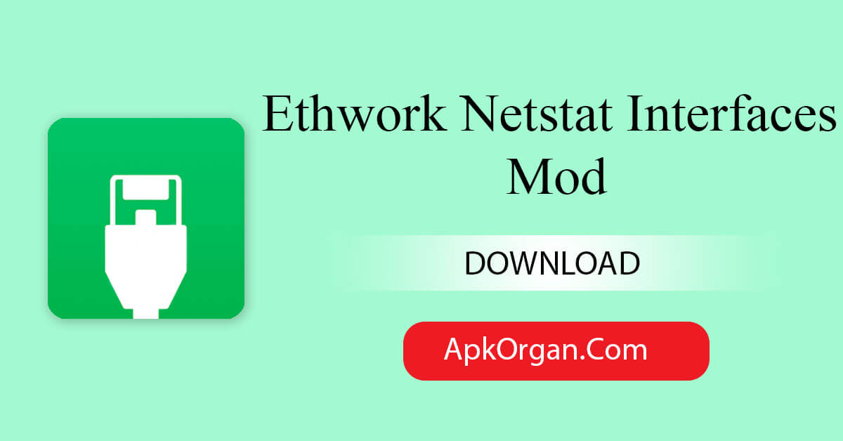 Ethwork Netstat Interfaces Mod