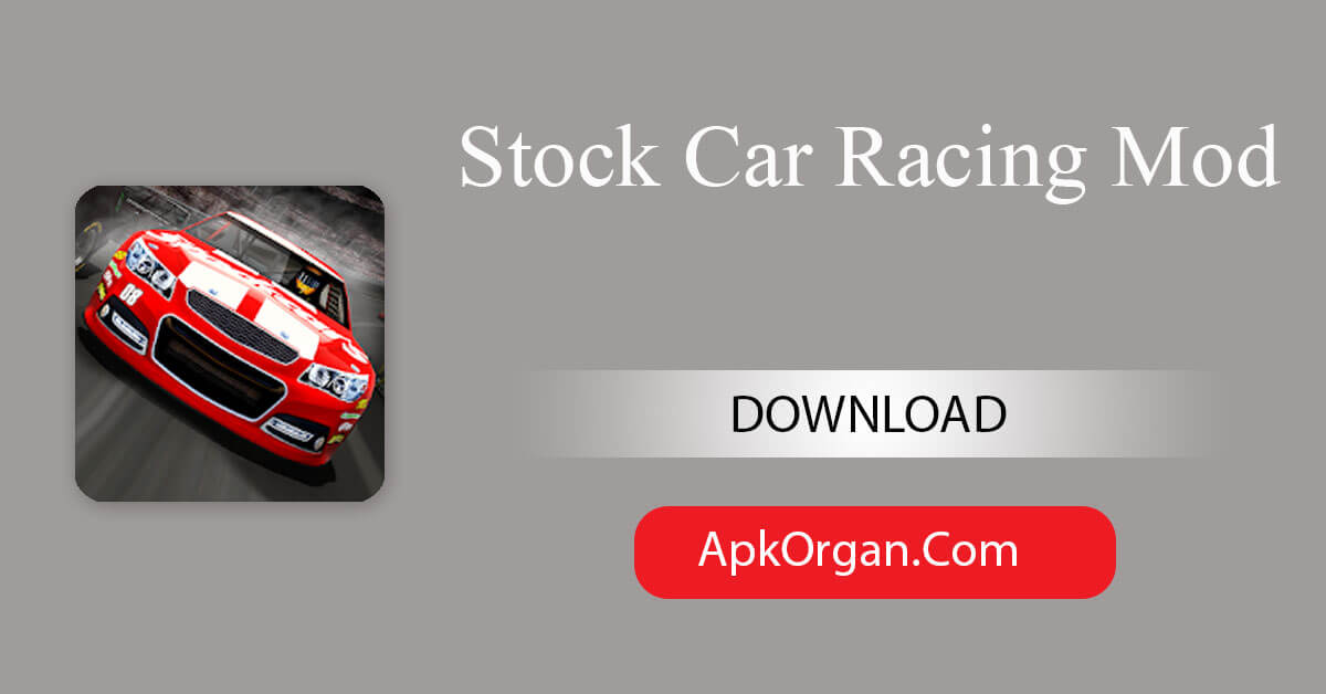 Stock Car Racing Mod
