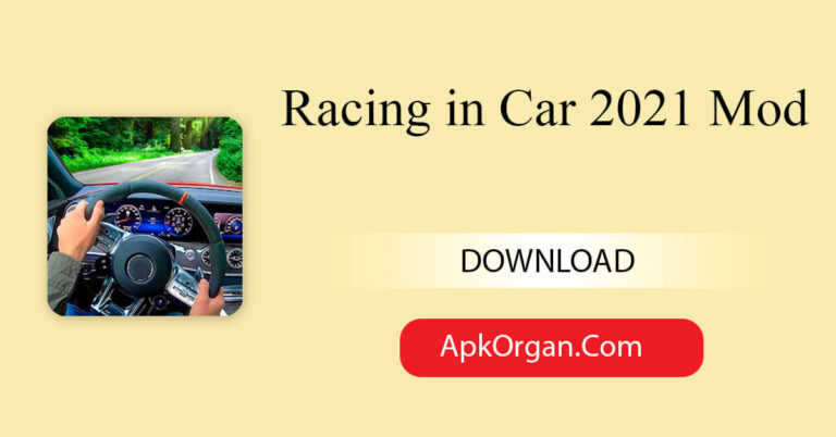 Racing in Car 2021 Mod