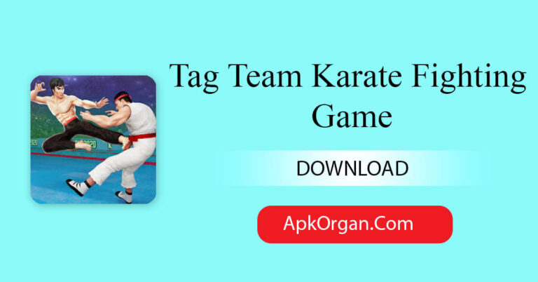 Tag Team Karate Fighting Game